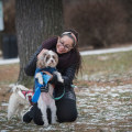 Exploring Overnight Boarding Services Offered by Pet Care Organizations in Southern New Jersey