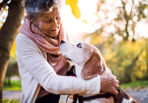 The Comprehensive Benefits of Pet Care Organizations in Southern New Jersey