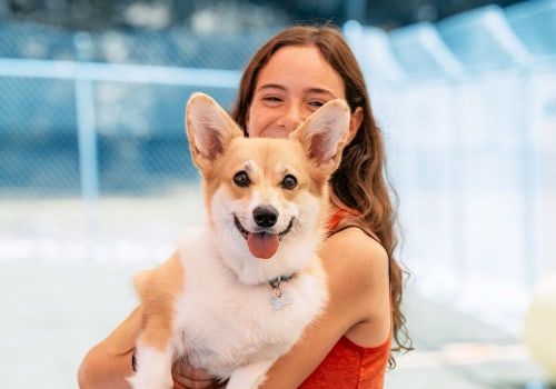 Comprehensive Guide to Pet Care Organizations Offering Training Programs in Southern New Jersey