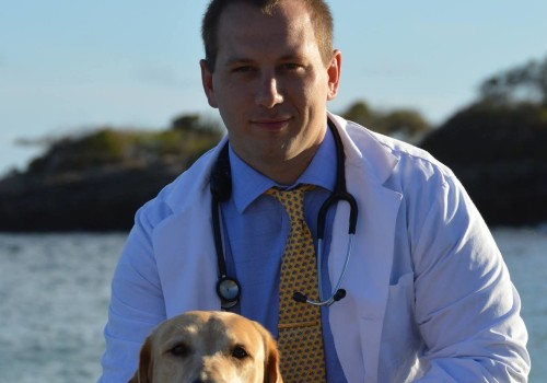Exploring Partnerships Between Pet Care Organizations and Veterinarians in Southern New Jersey