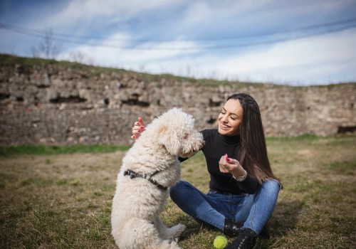 Understanding the Qualifications and Experience of Staff at Pet Care Organizations in Southern New Jersey