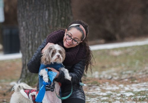 Exploring Overnight Boarding Services Offered by Pet Care Organizations in Southern New Jersey